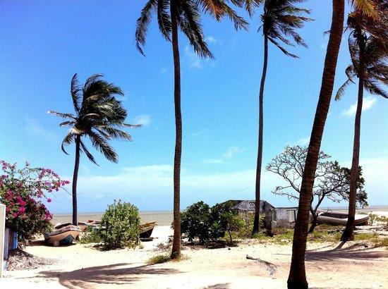 Scoop Cabana Kitesurfing คัลพิทิยา ภายนอก รูปภาพ