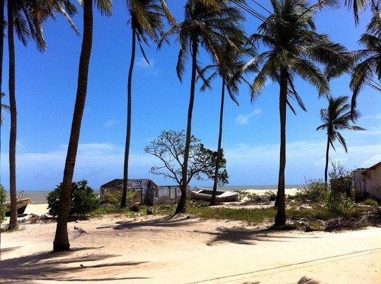 Scoop Cabana Kitesurfing คัลพิทิยา ภายนอก รูปภาพ